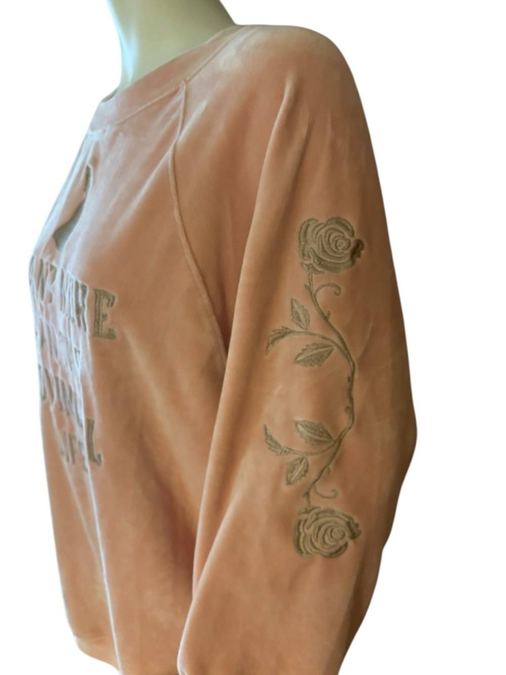 Disney Pale Pink Beauty and the Beast Velvet Crewneck Sweatshirt, M - Picture 9 of 10